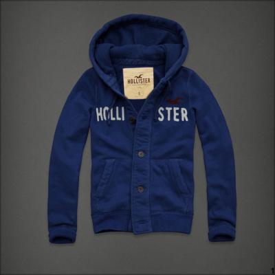 Hollister Men Hoodies-94